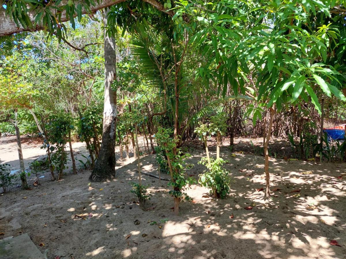 Cabana Playa Cambiaso Bed & Breakfast Puerto Plata Екстериор снимка